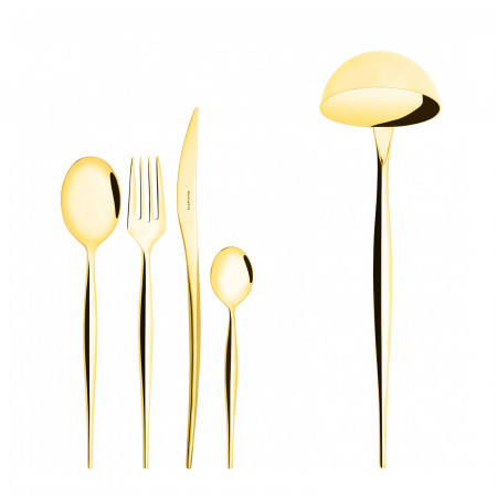 49-pieces Set in Gallery box - colour Gold - finish PVD Finishing
