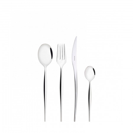24-pieces Set in Gallery box - colour Steel - finish Shining